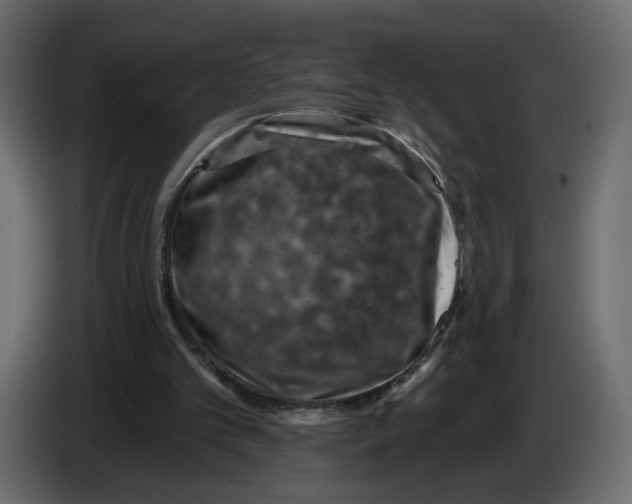 X0000082930101200703020114