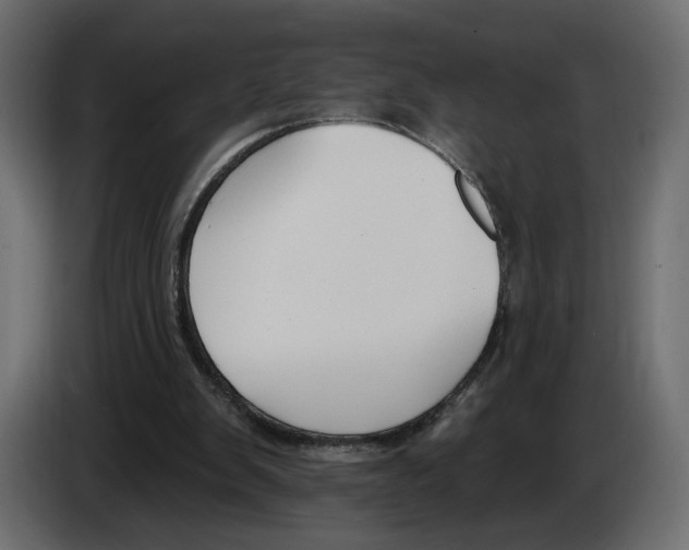 X0000082930103200703020114