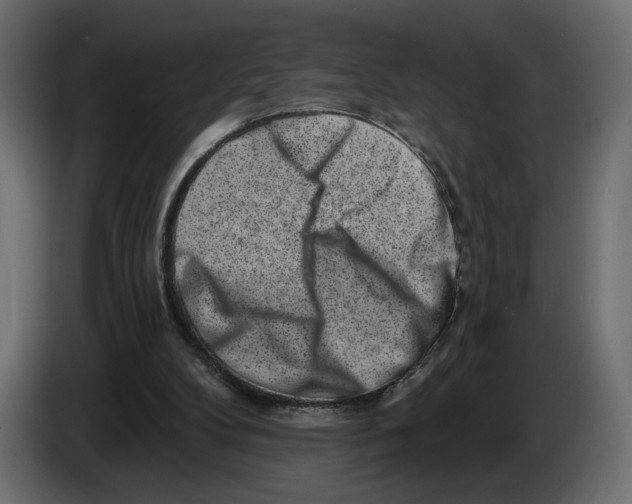 X0000082930104200703020114