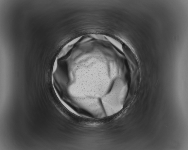 X0000082930105200703020114