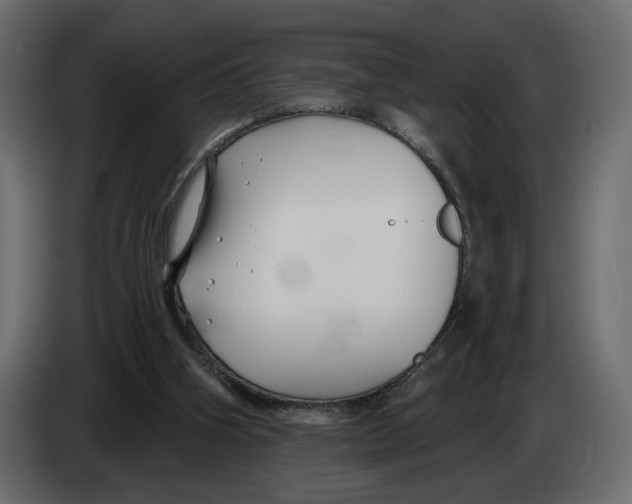 X0000082930106200703020114