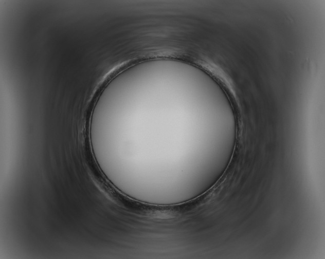 X0000082930107200703020114