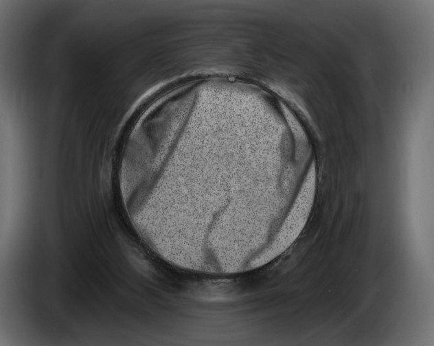 X0000082930108200703020114