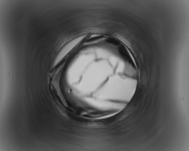 X0000082930109200703020114