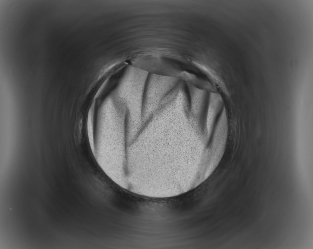 X0000082930110200703020114