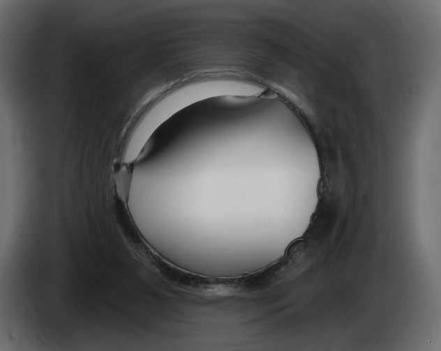 X0000082930111200703020114