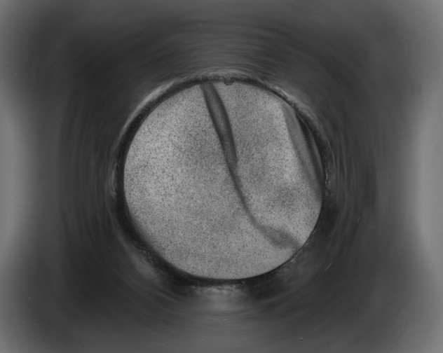 X0000082930112200703020114