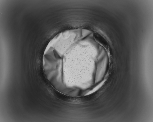 X0000082930113200703020114