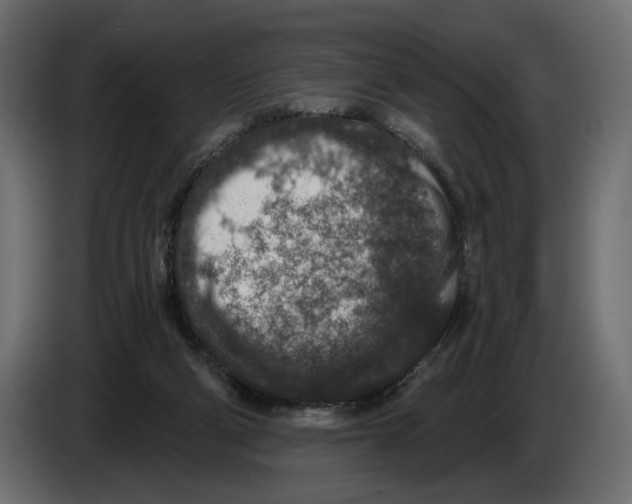 X0000082930114200703020114