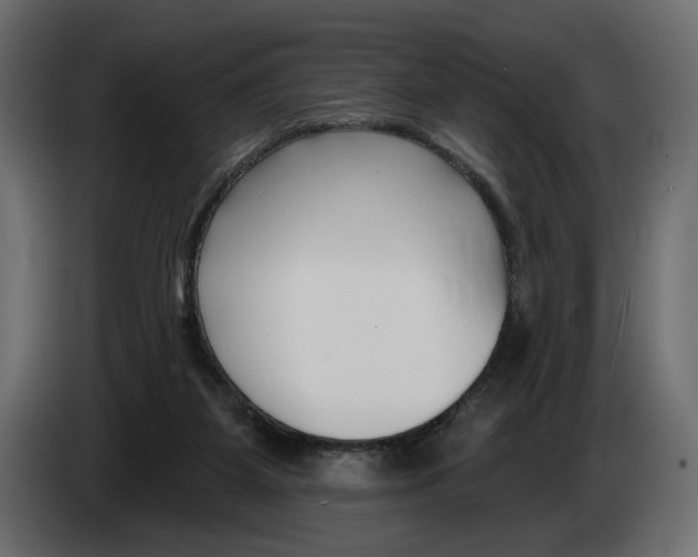 X0000082930115200703020114
