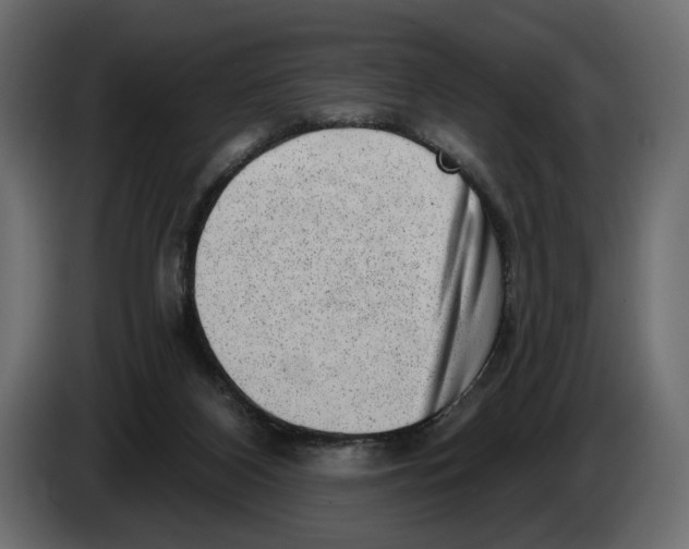 X0000082930116200703020114