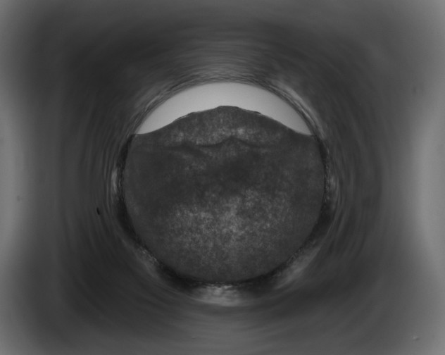 X0000082930117200703020114