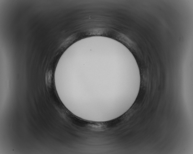 X0000082930118200703020114