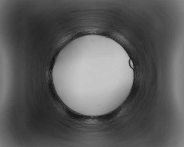 X0000082930119200703020114