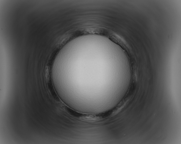 X0000082930121200703020114