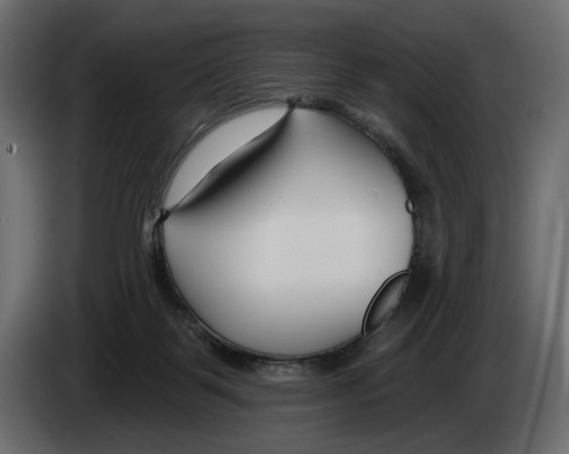 X0000082930123200703020114