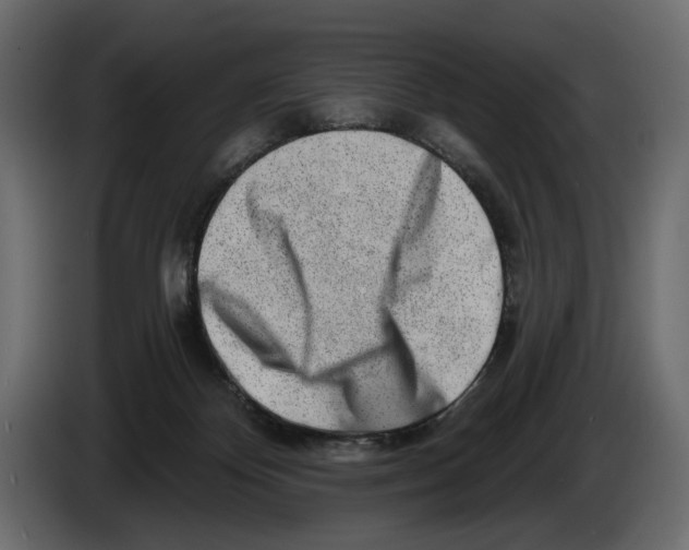 X0000082930124200703020114