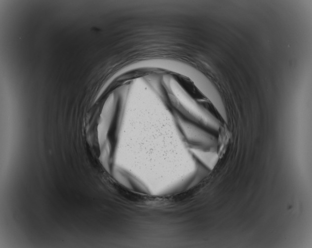 X0000082930125200703020114