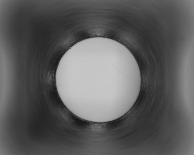X0000082930126200703020114