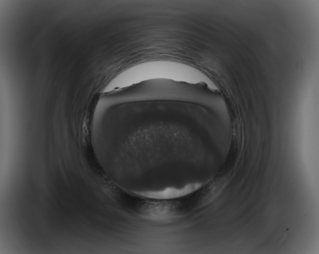 X0000082930127200703020114