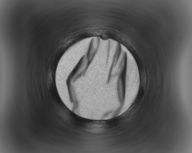 X0000082930128200703020114
