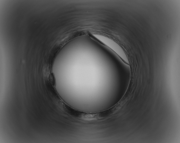X0000082930129200703020114
