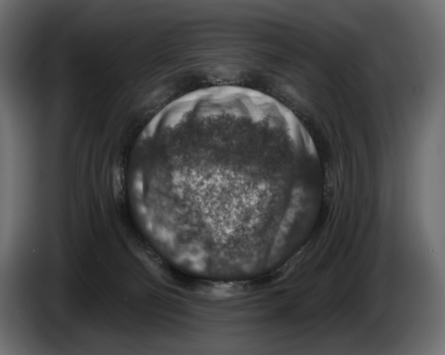 X0000082930130200703020114