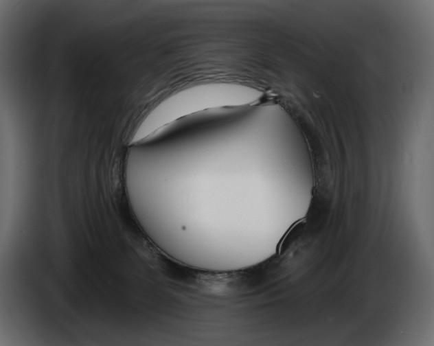 X0000082930131200703020114