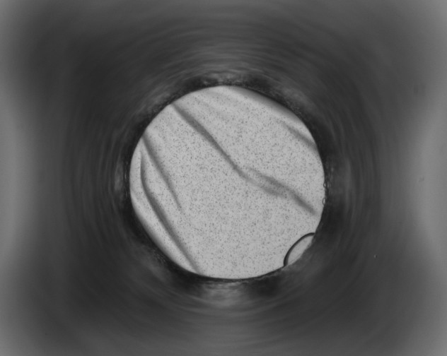X0000082930132200703020114