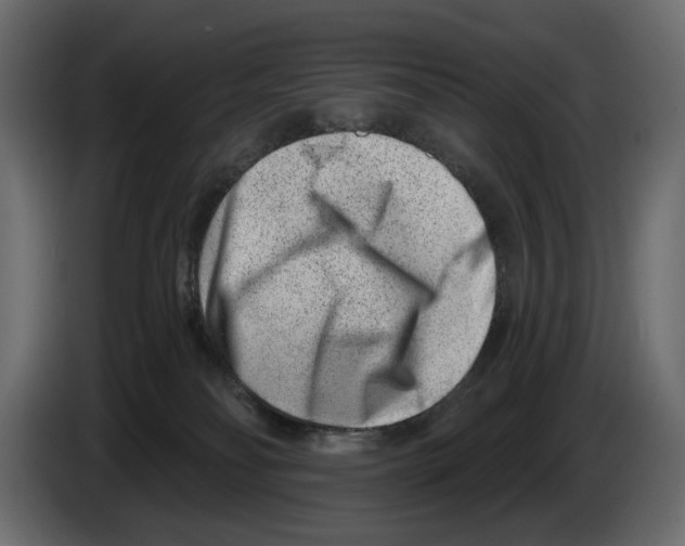 X0000082930134200703020114