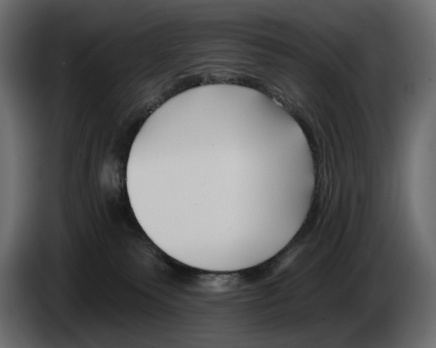 X0000082930135200703020113
