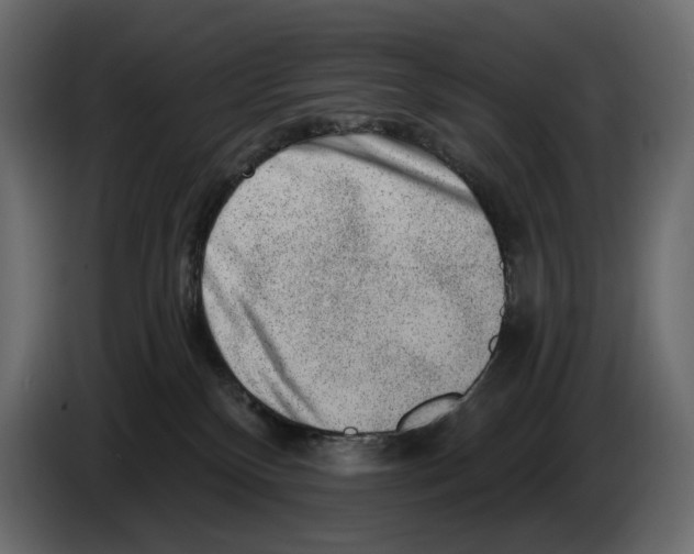 X0000082930136200703020113