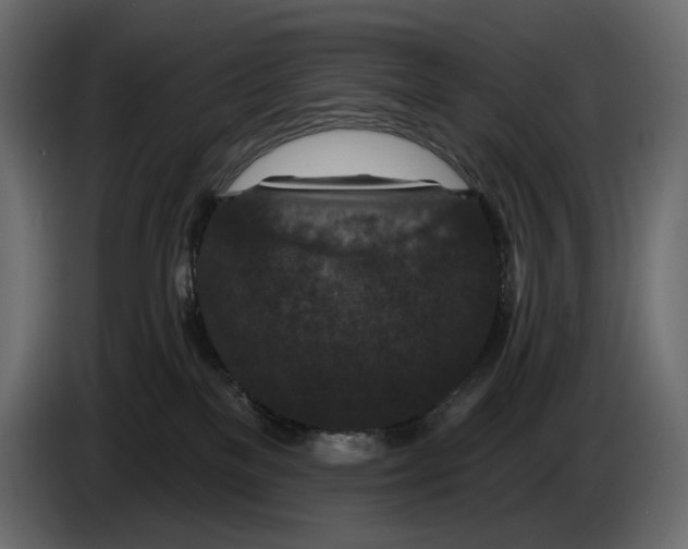 X0000082930137200703020113