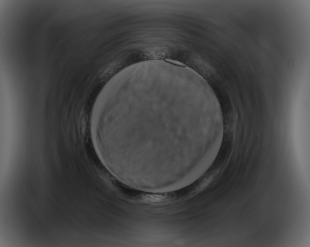 X0000082930139200703020113