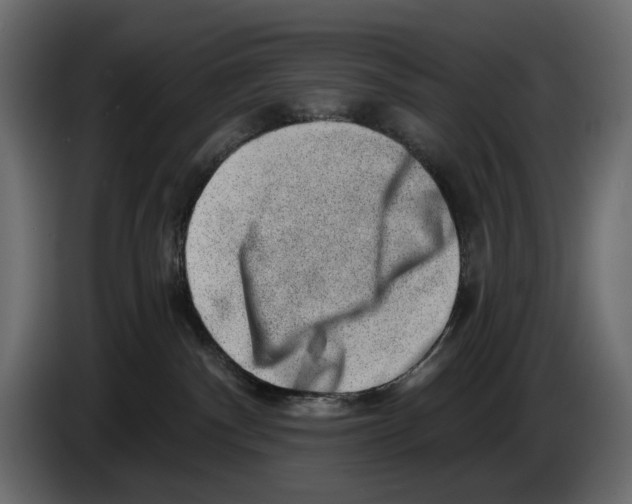 X0000082930140200703020113