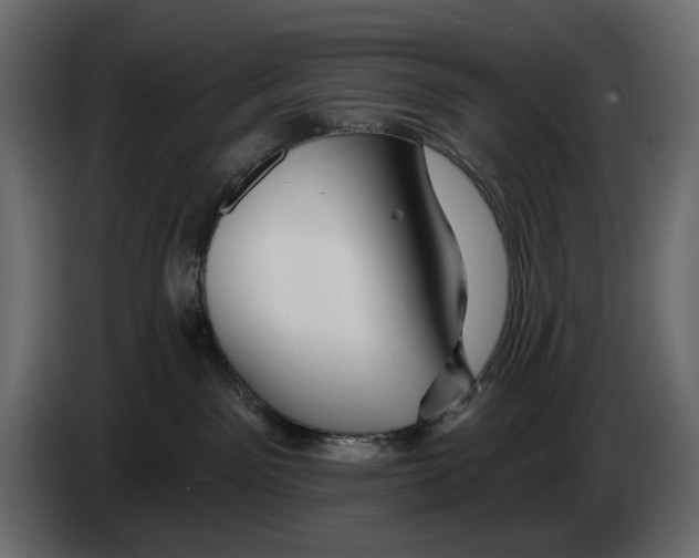 X0000082930141200703020113