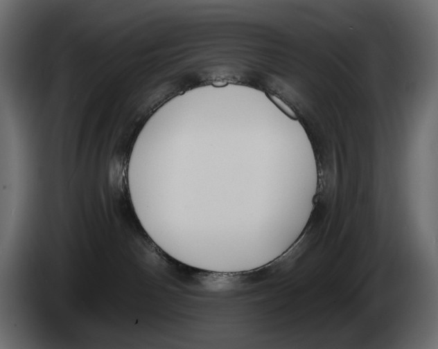 X0000082930142200703020113