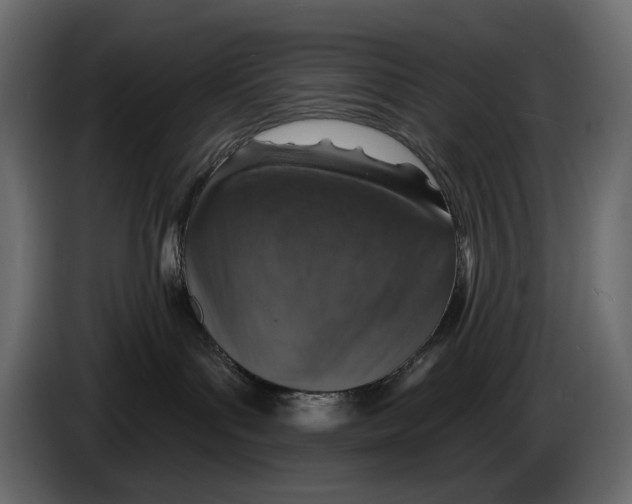 X0000082930143200703020113