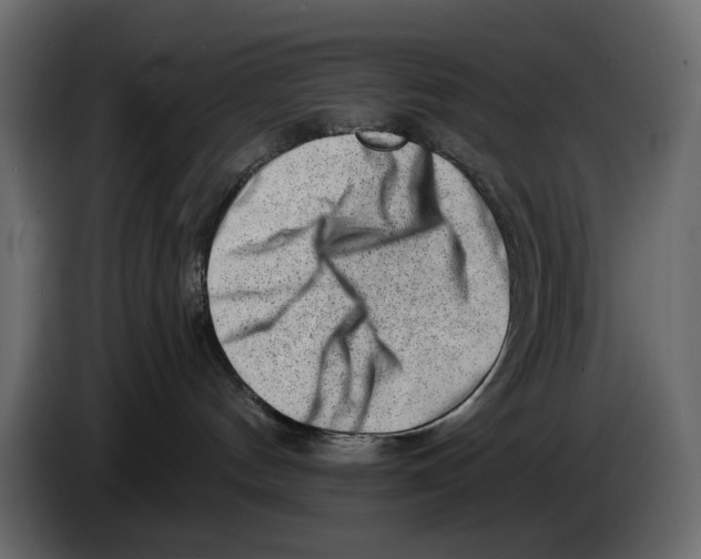 X0000082930144200703020113