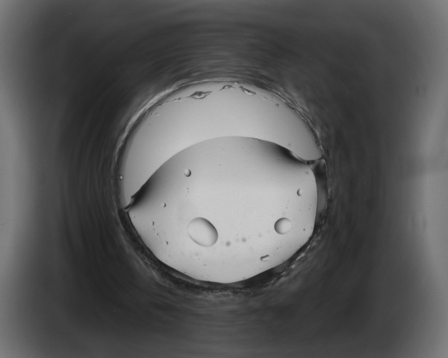 X0000082930146200703020113