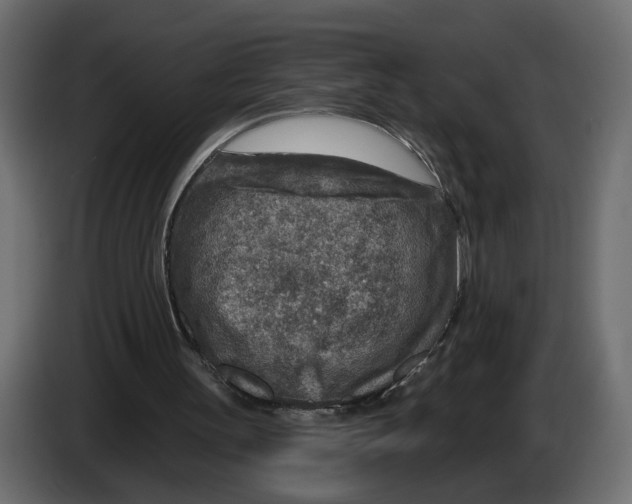 X0000082930147200703020113