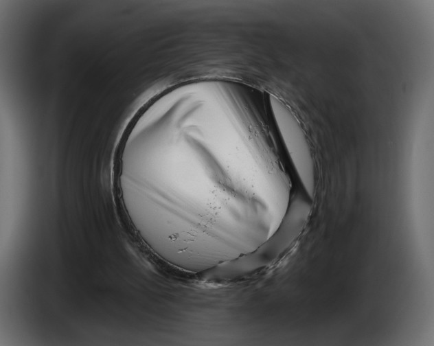 X0000082930148200703020113