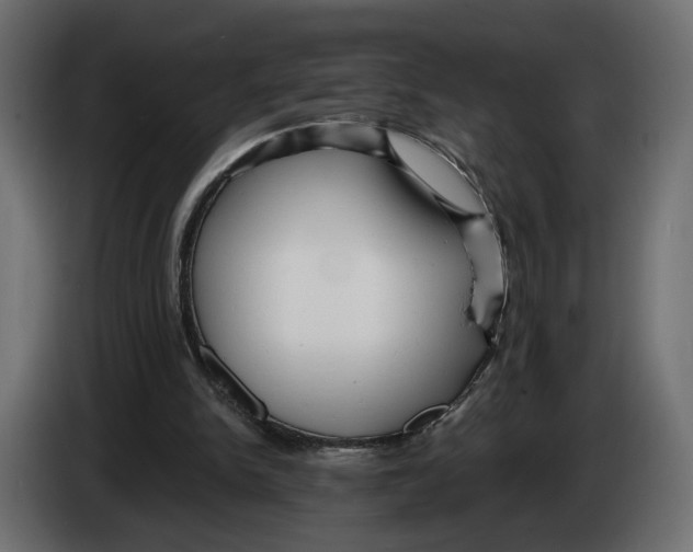 X0000082930150200703020113