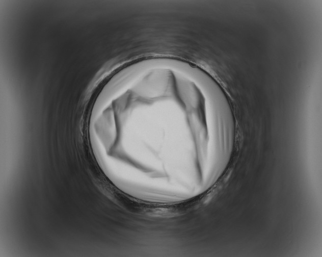 X0000082930151200703020113