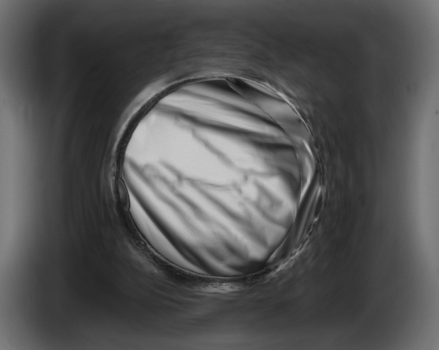 X0000082930152200703020113
