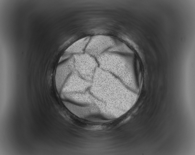 X0000082930153200703020113