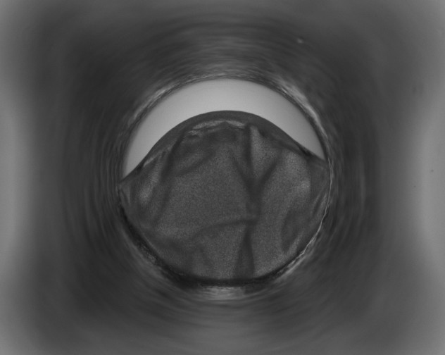 X0000082930154200703020113