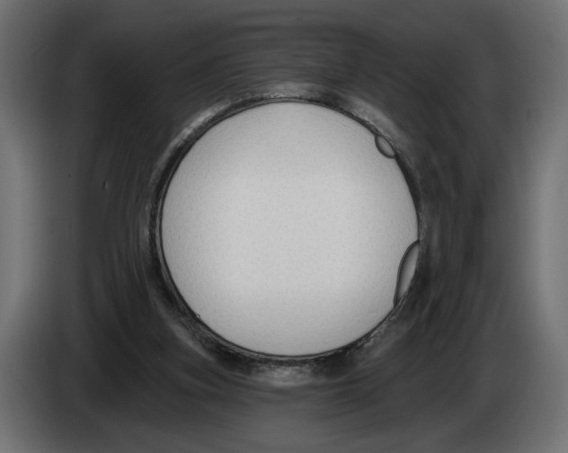 X0000082930155200703020113
