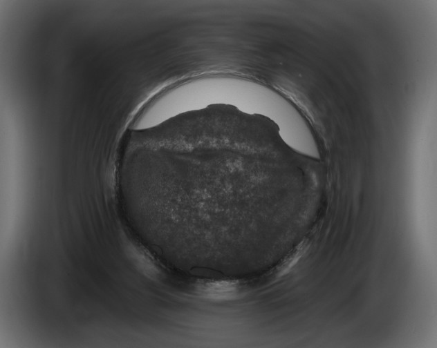 X0000082930156200703020113