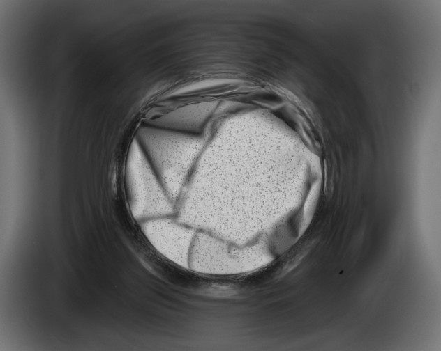 X0000082930157200703020113